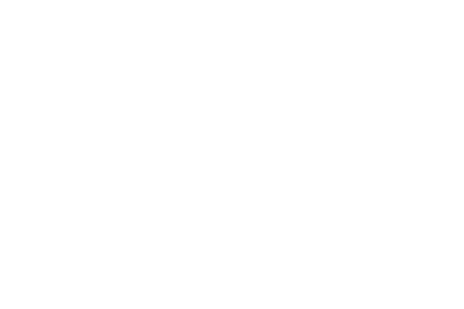 Altitude Solutions
